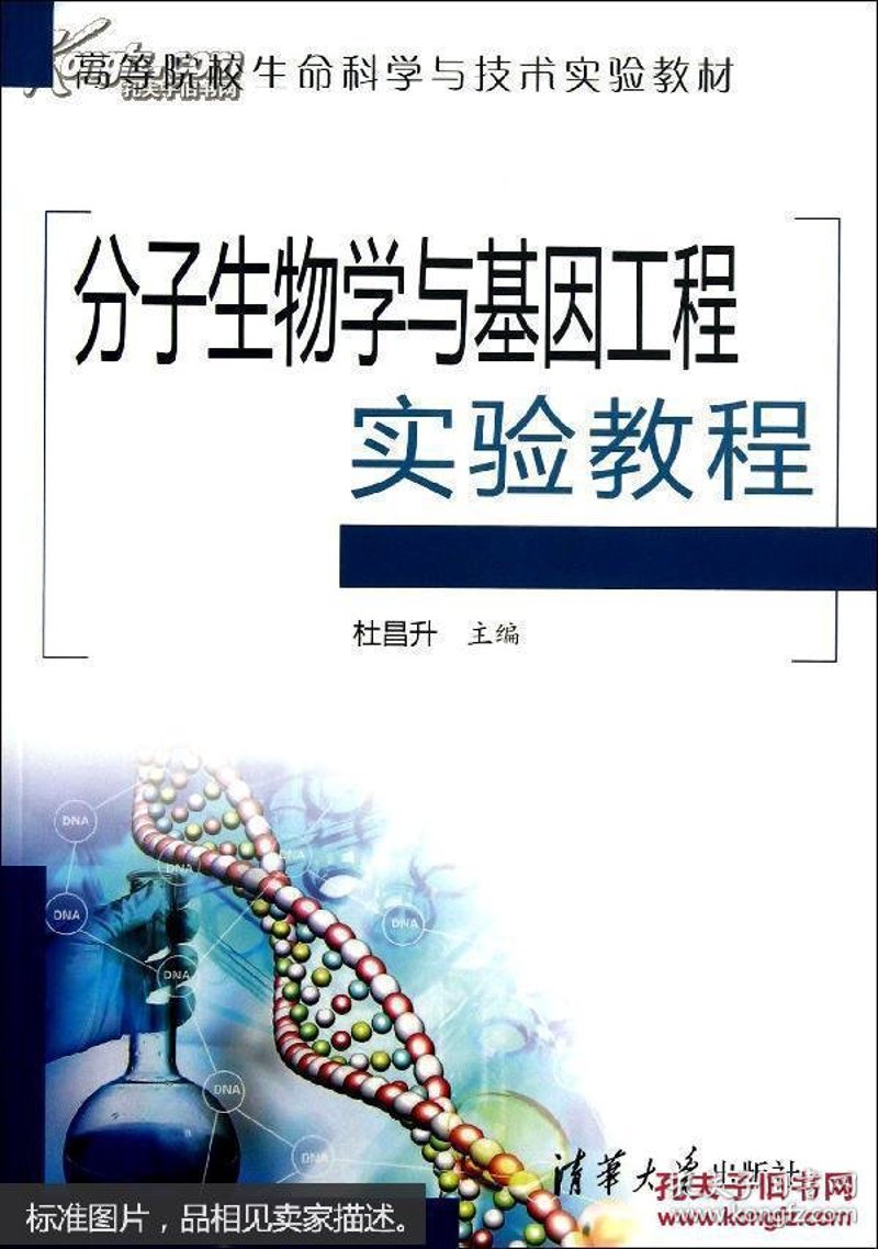 生物技术研发：创新动力源