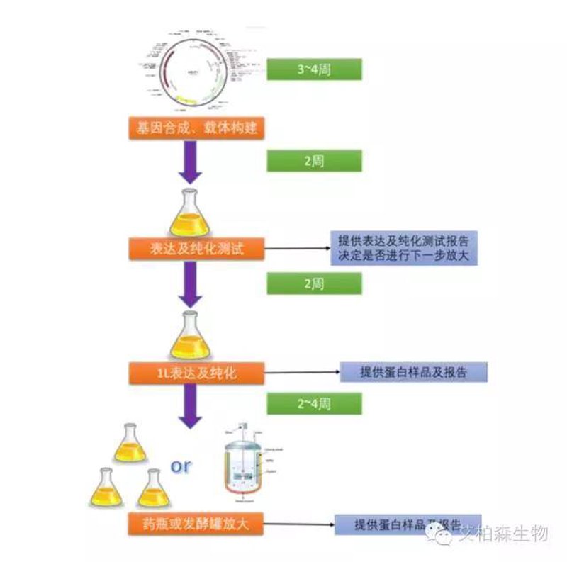 生物技术研发：引领未来创新的方向